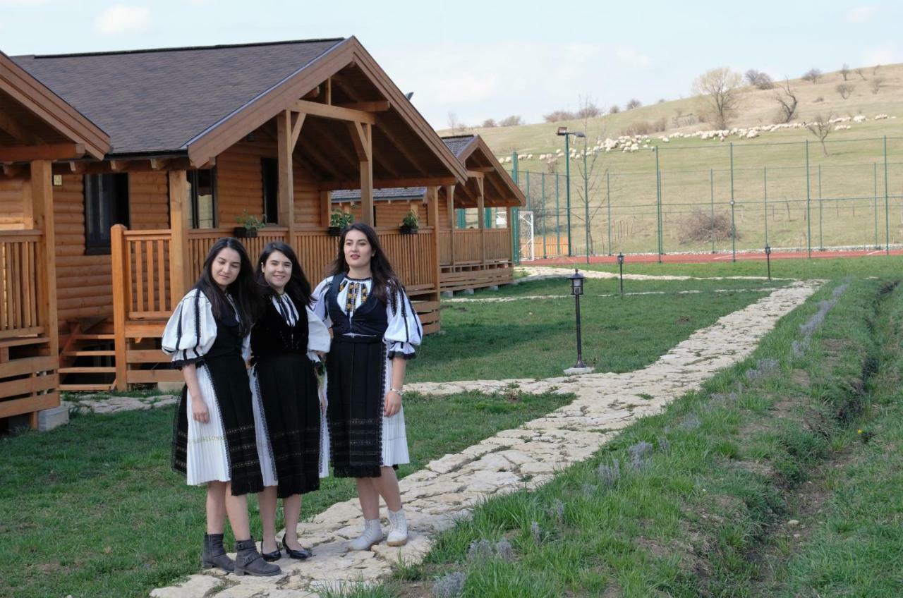 فيلا Complex Agroturistic Livada De Nuci بايا دي فيير المظهر الخارجي الصورة